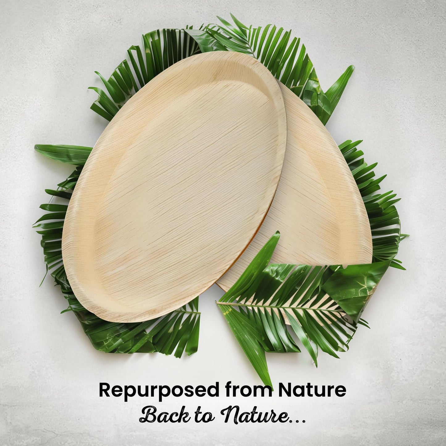 ECO Leaf 300-Pack 12” Disposable Palm Leaf Plates – Compostable, Biodegradable & Heavy-Duty Dinner Plates – Eco-Friendly, Microwave & Oven Safe